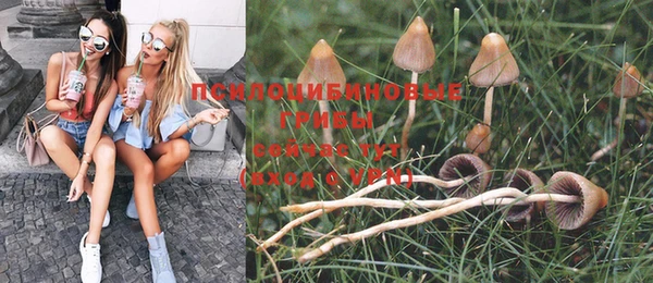 ешки Шали