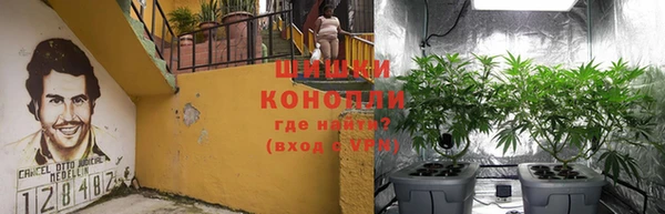 гидра Киреевск