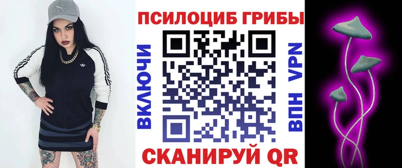 Псилоцибиновые грибы мухоморы  блэк спрут   Энем  как найти  